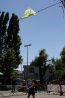 _MG_8885.jpg